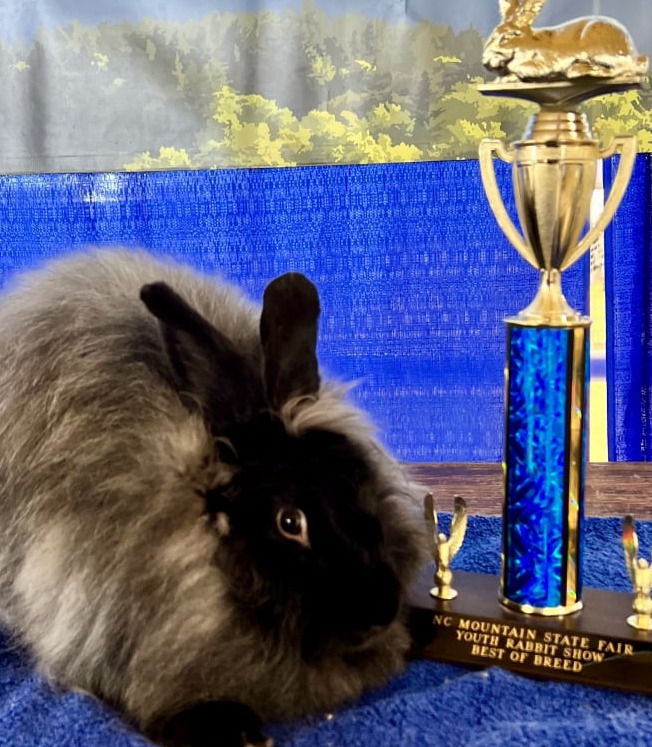 Toe River Rabbits Satin Angora